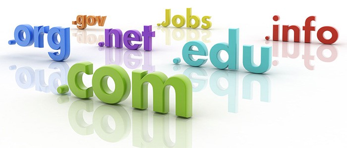 Apa itu Domain
